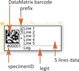 5linesid 1