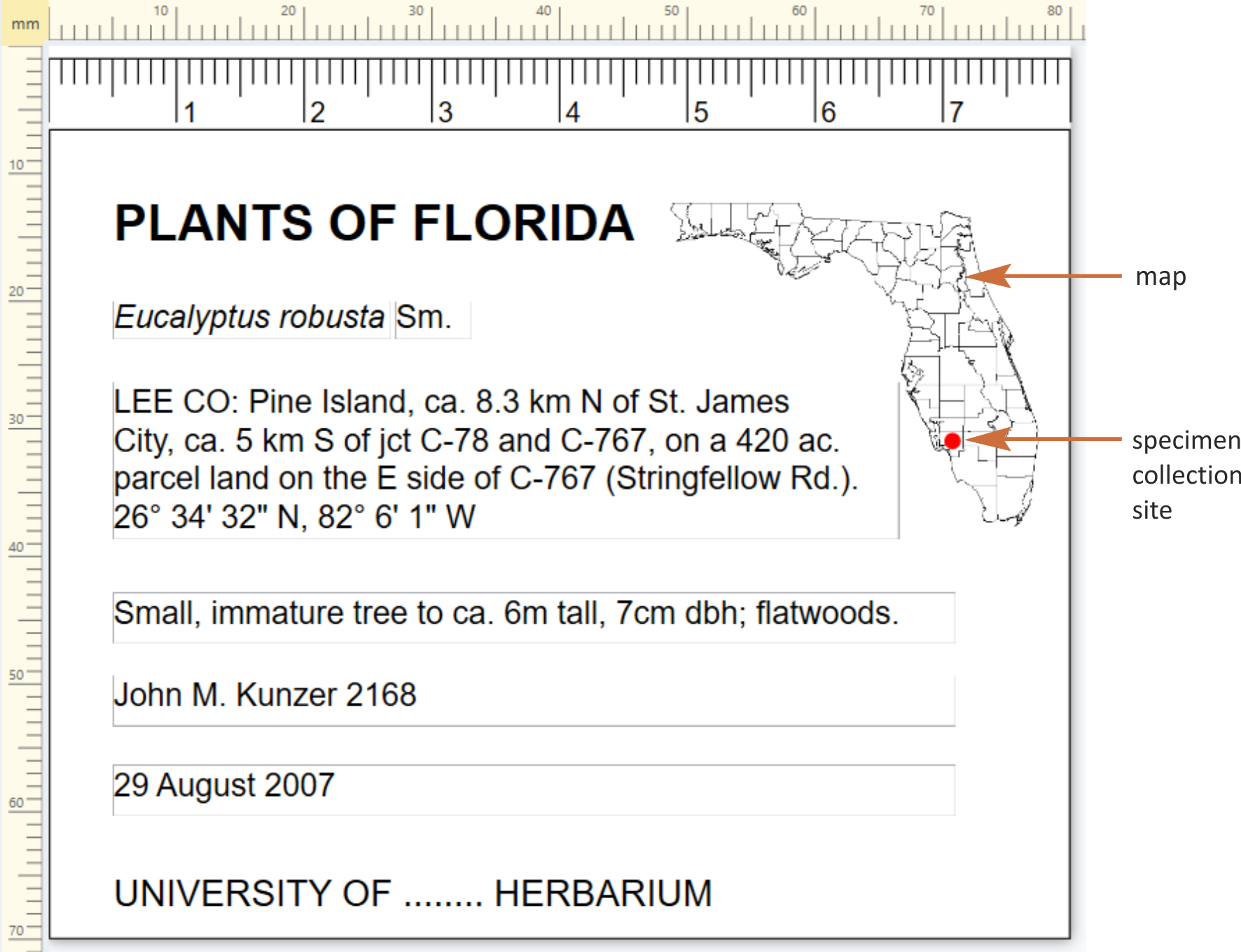 Templates herbarium with map